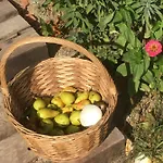 Am Himberg Straden