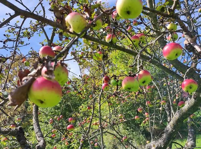 Am Himberg 아파트 Straden