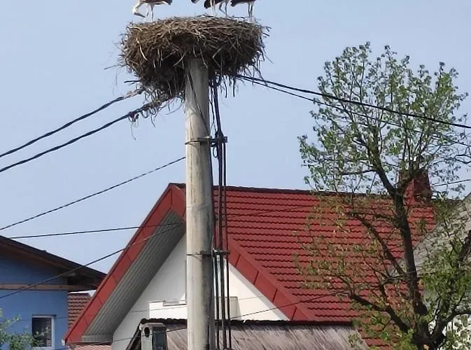 아파트 Am Himberg *